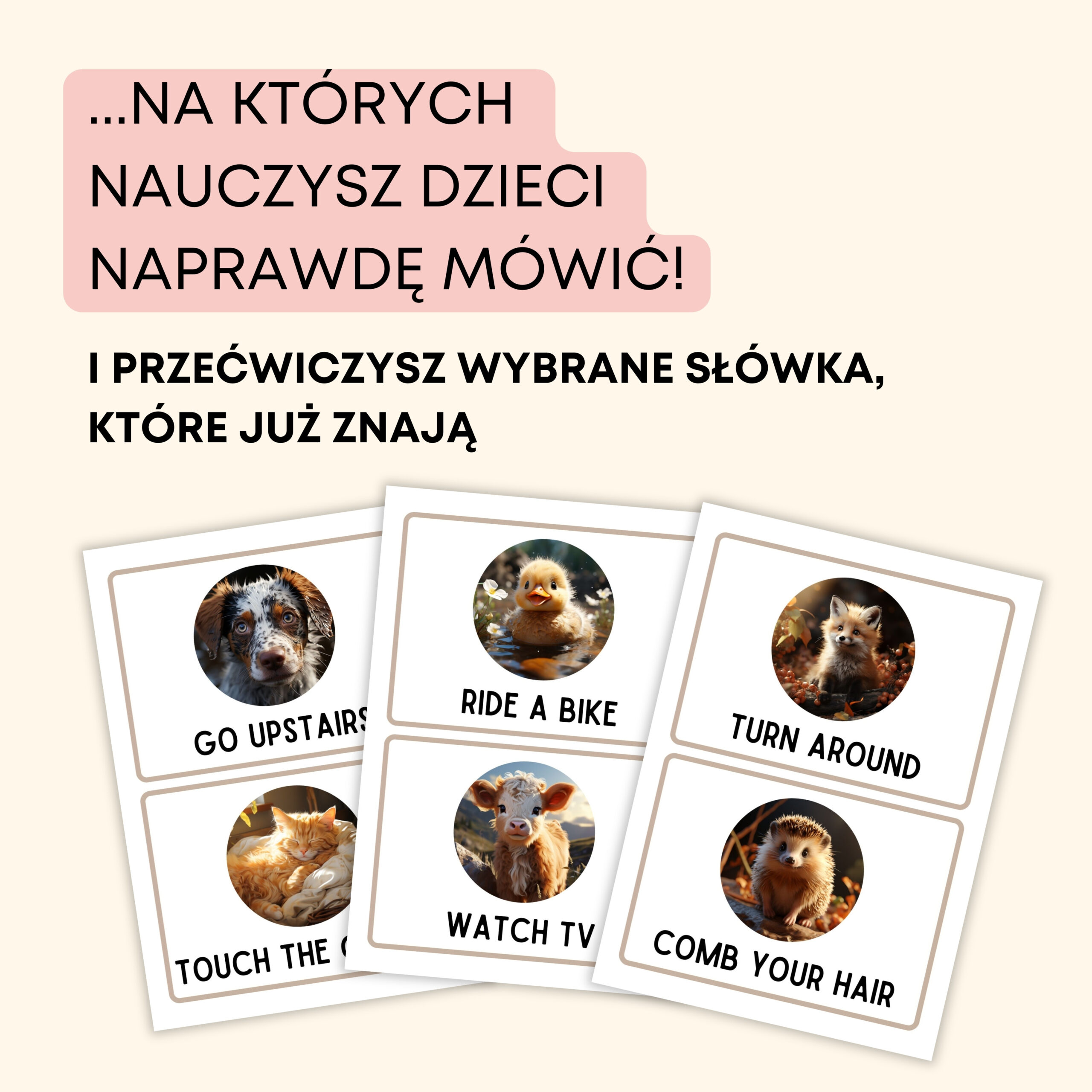 Dzień Misia -Darmowe materiały PDF do druku na angielski w przedszkolu