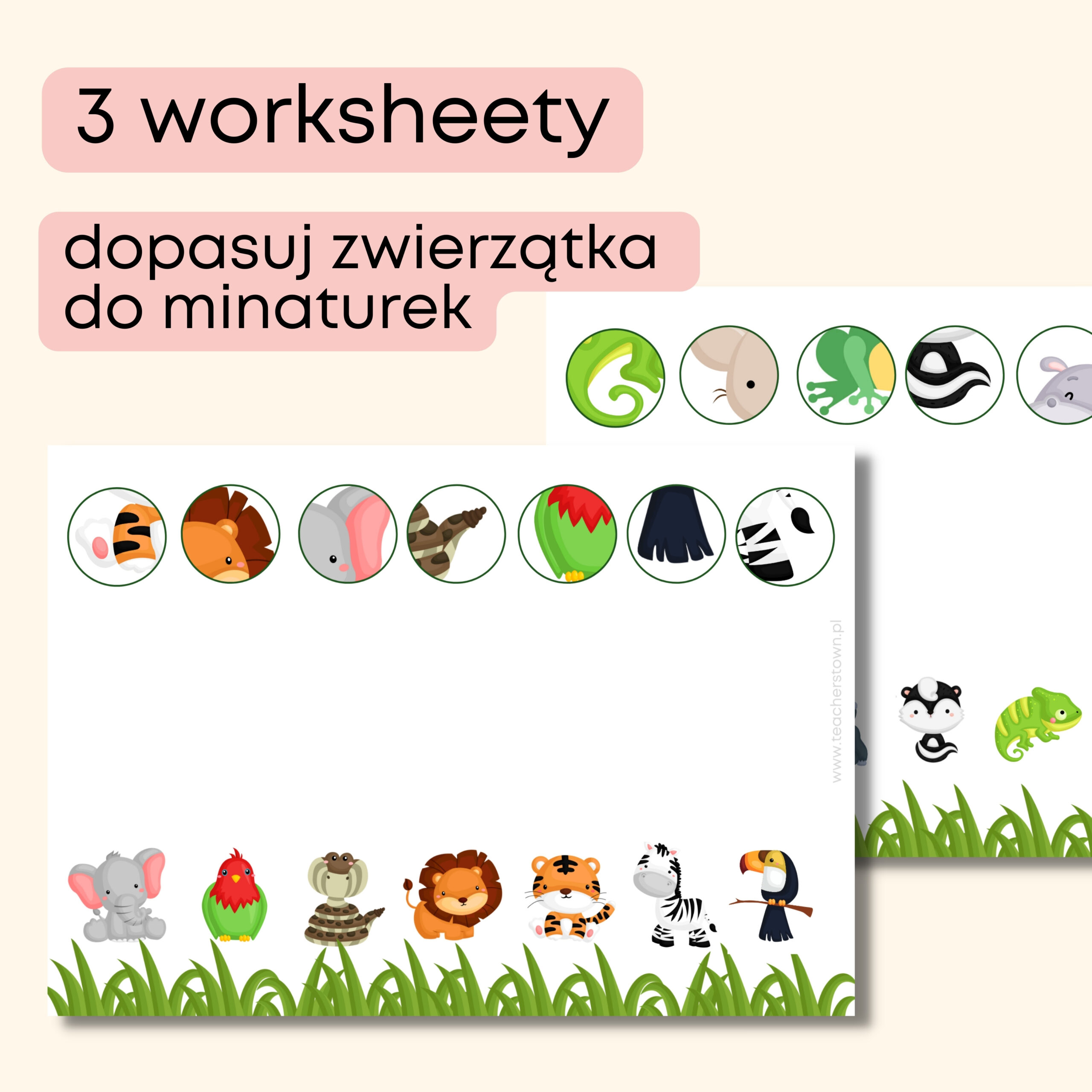 wild animals -Darmowe materiały PDF do druku na angielski w przedszkolu