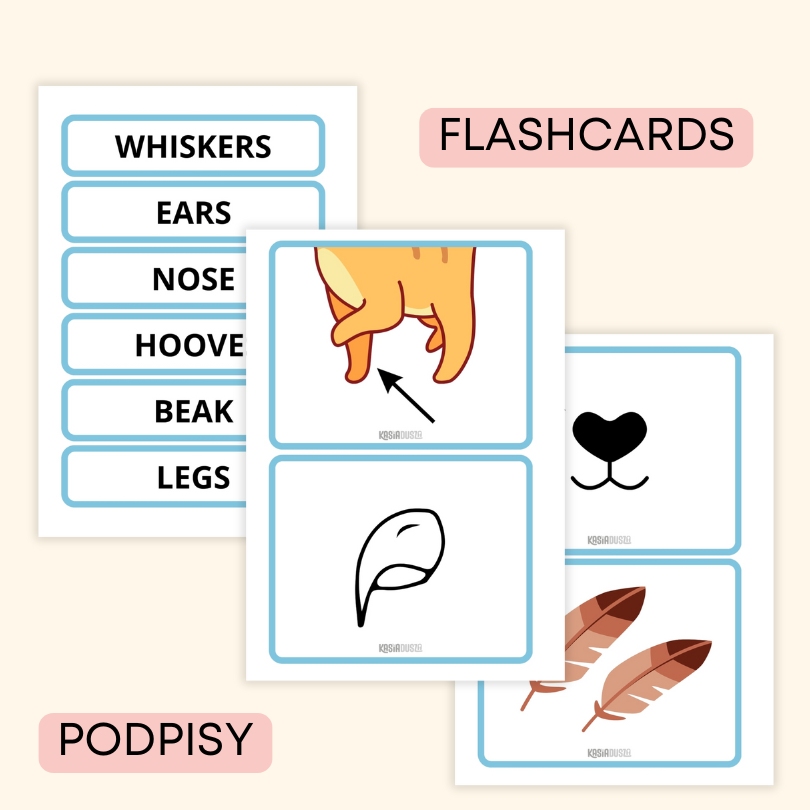 Polar animals | angielski w przedszkolu materiały PDF do druku