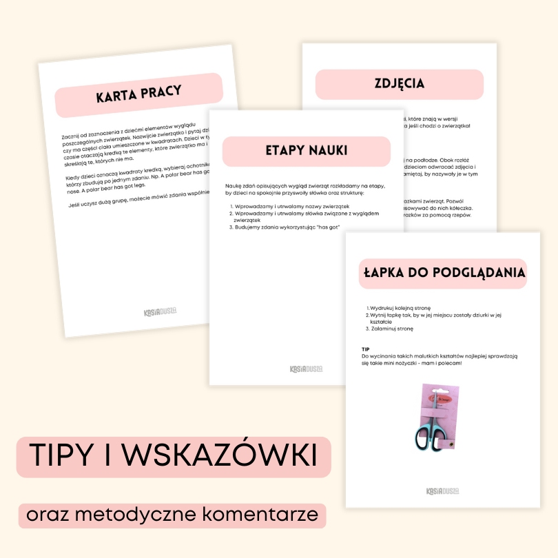 Polar animals | angielski w przedszkolu materiały PDF do druku