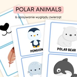 Polar animals | angielski w przedszkolu materiały PDF do druku