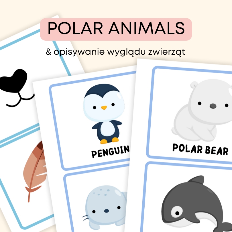 Polar animals | angielski w przedszkolu materiały PDF do druku