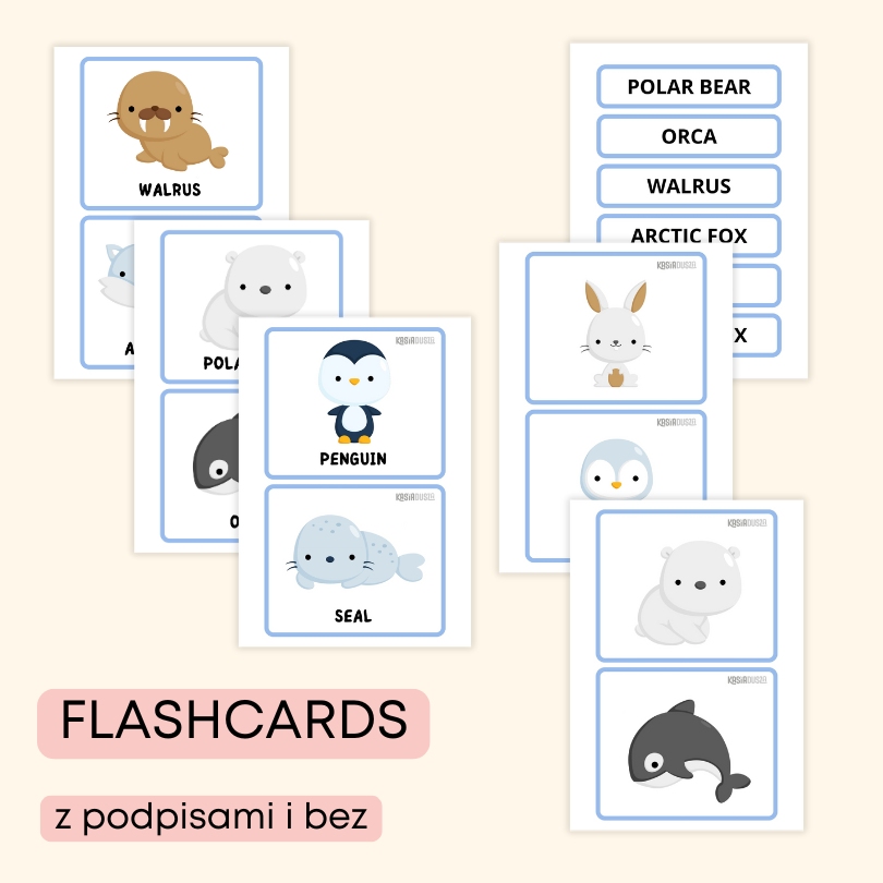 Polar animals | angielski w przedszkolu materiały PDF do druku