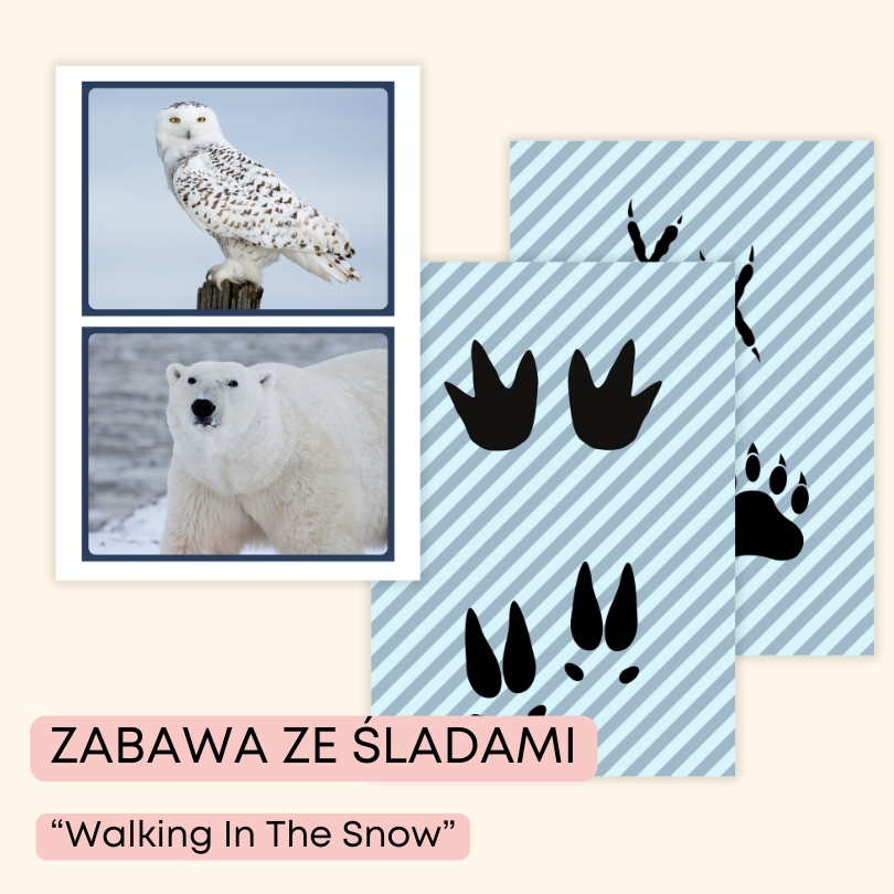 Polar animals | angielski w przedszkolu materiały PDF do druku