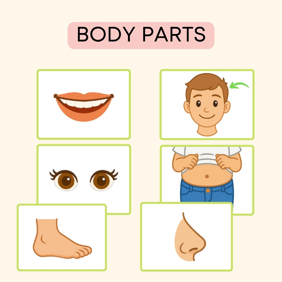Body Parts Flashcards, materiały do druku na angielski w przedszkolu