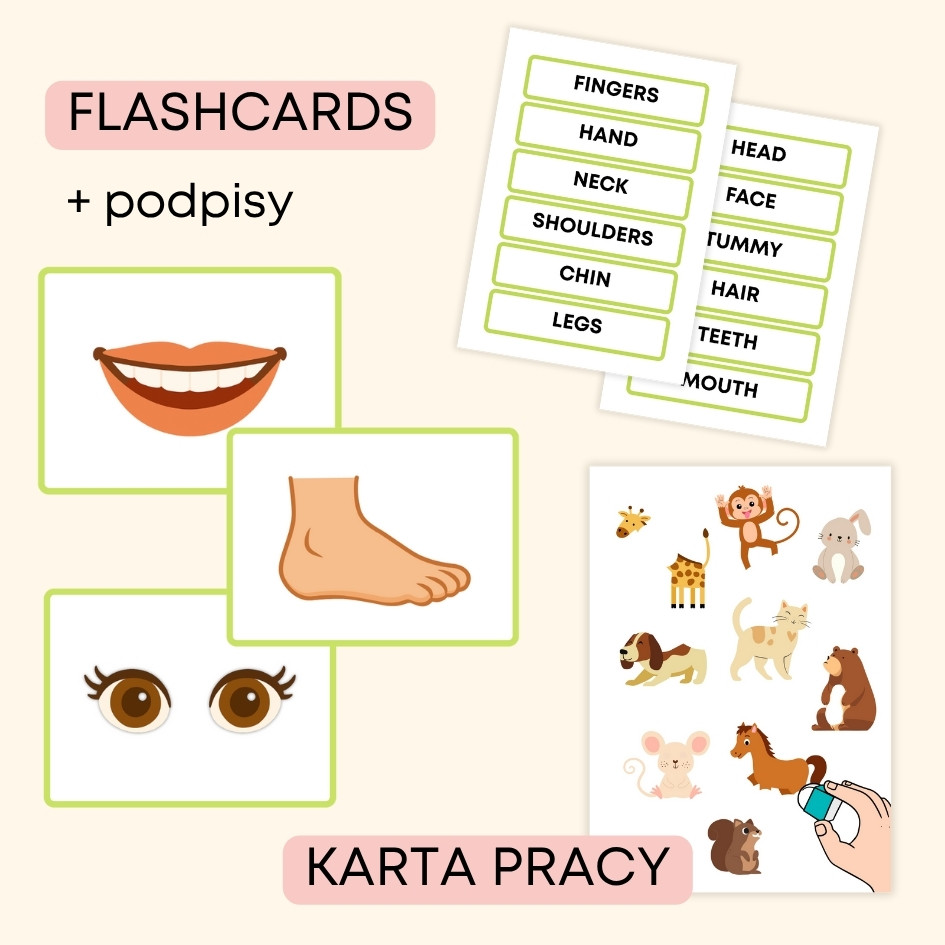 Body Parts Flashcards, materiały do druku na angielski w przedszkolu